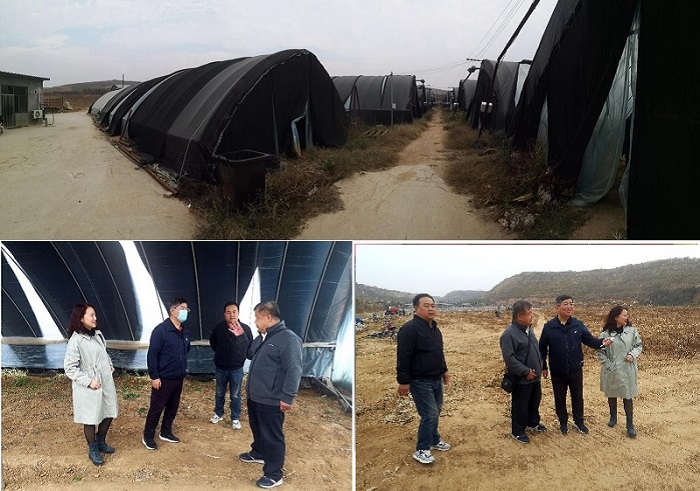 中国·js345线路检测(股份有限公司)-OfficialPlatform